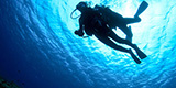 宮古島のダイビングスポットは世界レベルの憧れの海