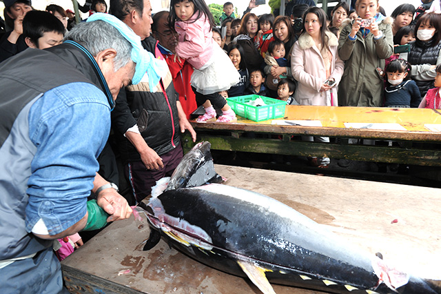 マグロの解体ショー