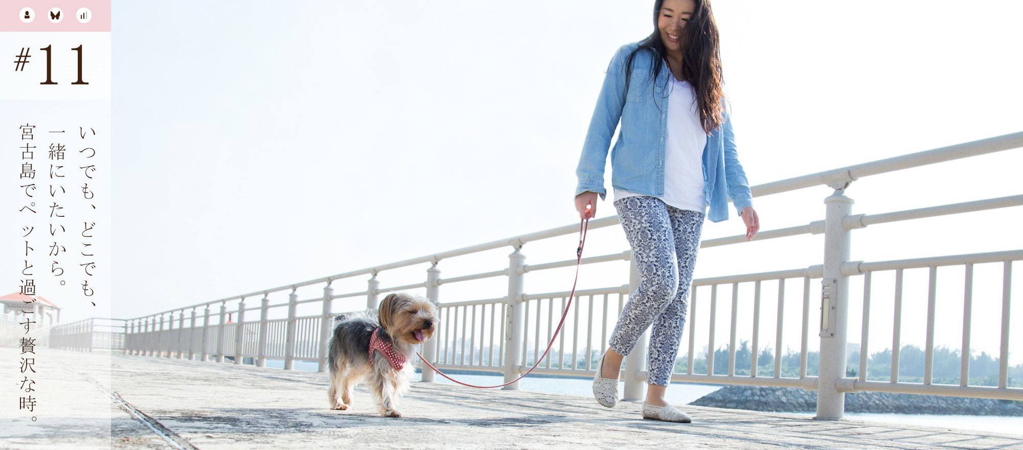 宮古島観光-愛犬、ペットと旅行。お留守番より、一緒に泊まれるホテルを宮古島で
