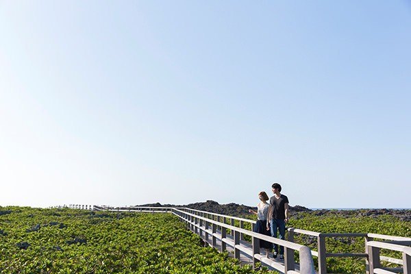 在宮古浪漫旅遊