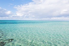 島カフェ編