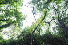 Power spot in Miyakojima