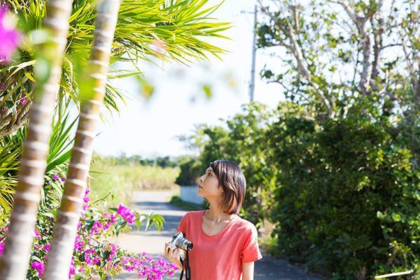 到色彩豐富的彩島去帶著相機一起旅行吧。