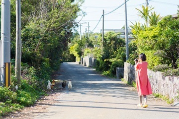 相机旅行的女性