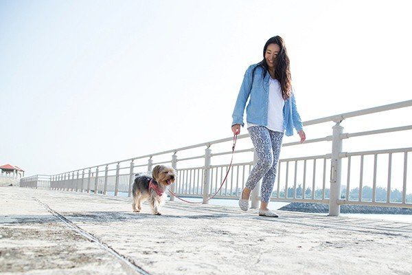 いつでも、どこでも、一緒にいたいから。宮古島でペットと過ごす贅沢な時。