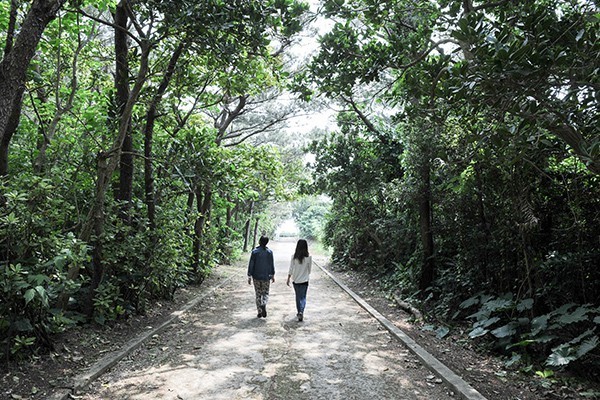 サイクリングの旅