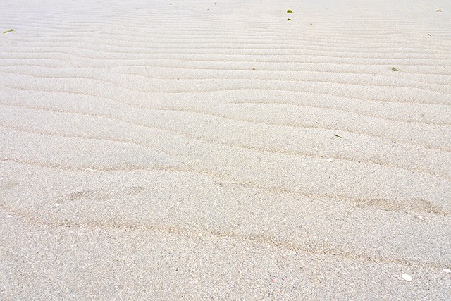 ユニの浜に刻まれた波紋