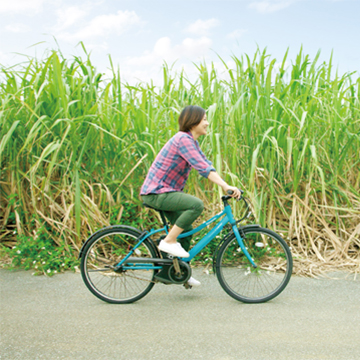 ゆっくりサイクリング